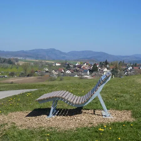 Ferienwohnung Alexandra Apartment Rheinfelden (Baden)