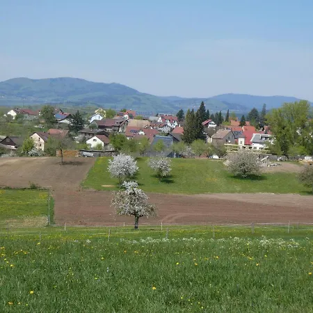 Ferienwohnung Alexandra * Rheinfelden (Baden)
